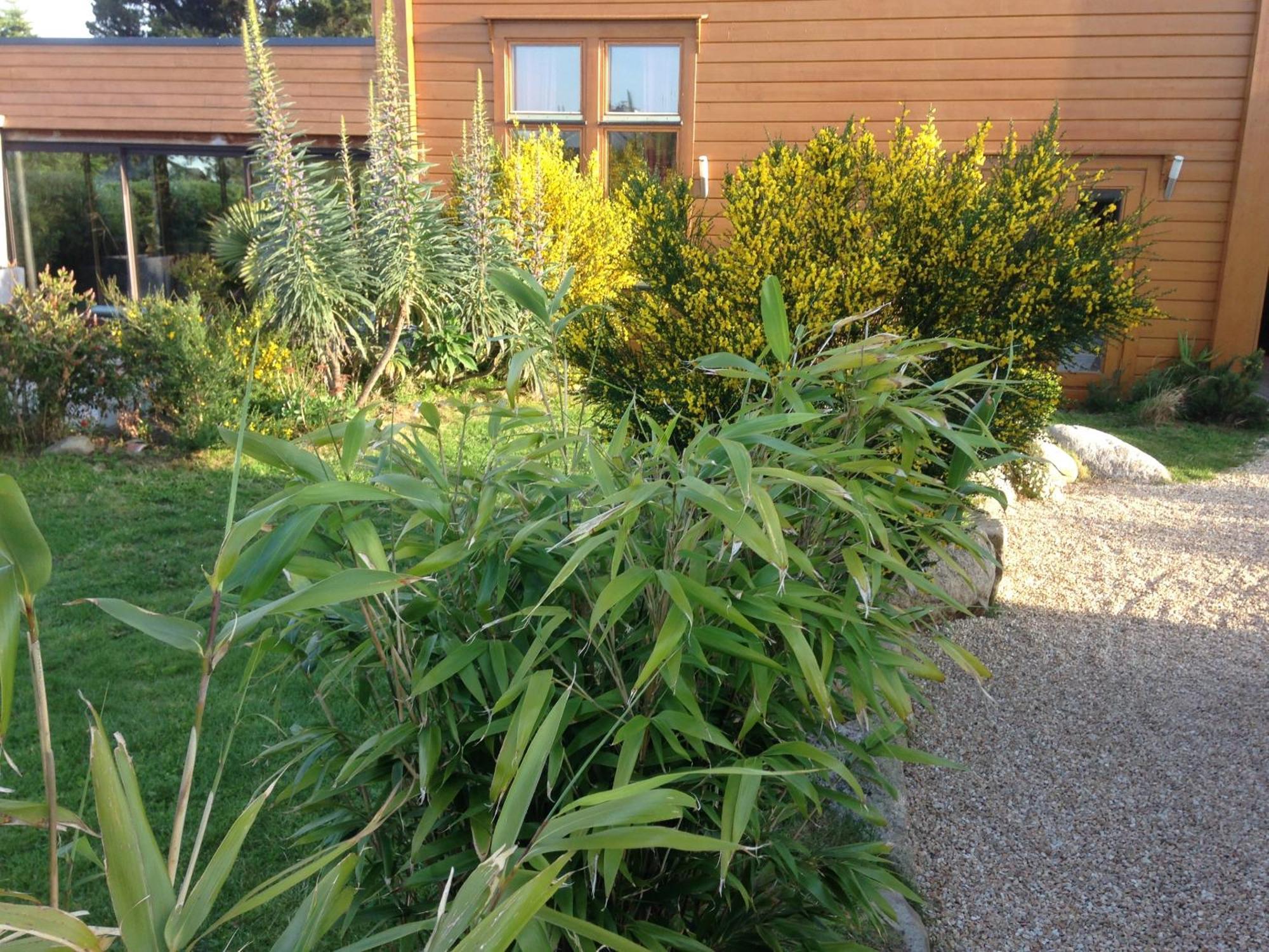 Les Villas D' Onalou Port Blanc Penvénan Exteriör bild